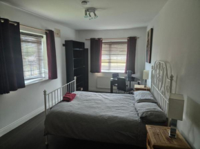 Comfortable room beside Luas line 1